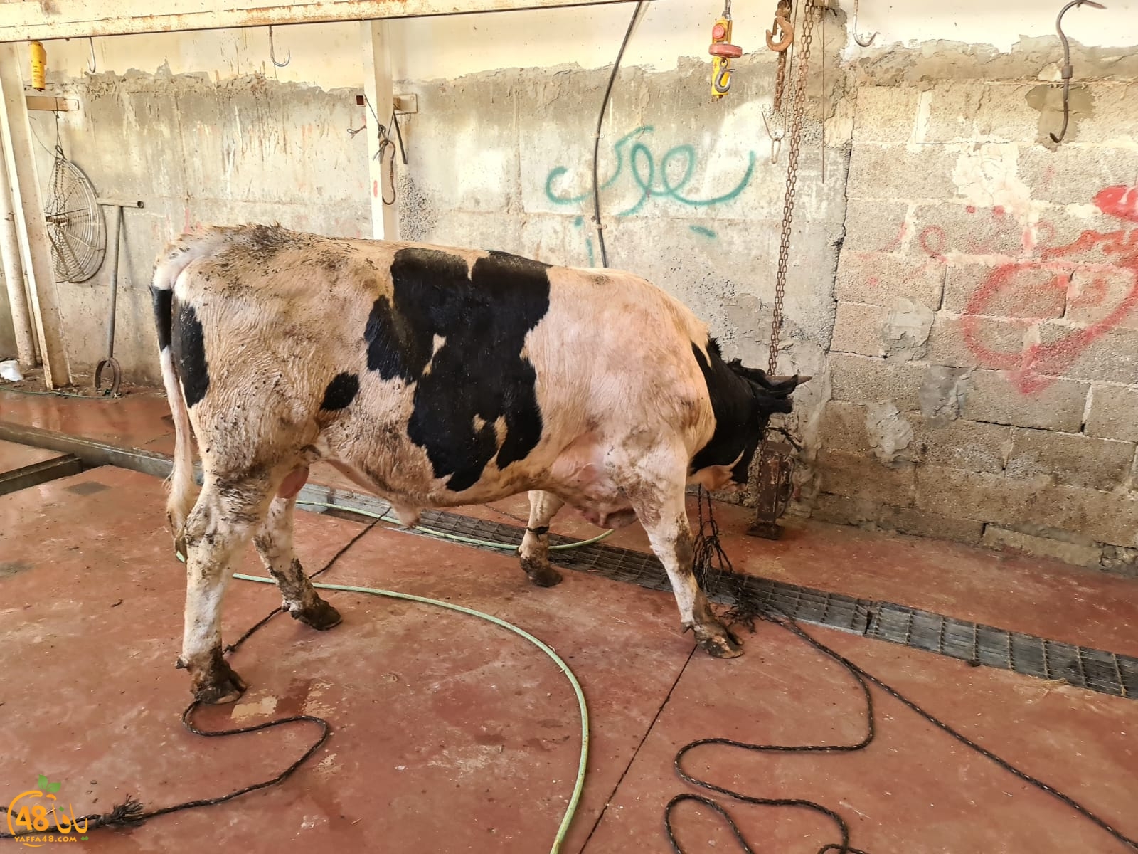 WhatsApp Image 2021-02-02 at 2.12.03 PM.jpeg